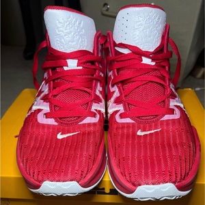 Nike Women’s size 10 Lebron Witness VI TB (Red)